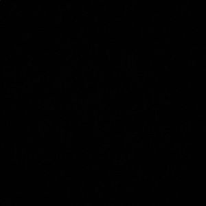 Meet your Posher, Ava